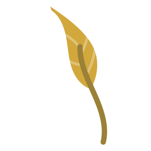 Brown flat leaf