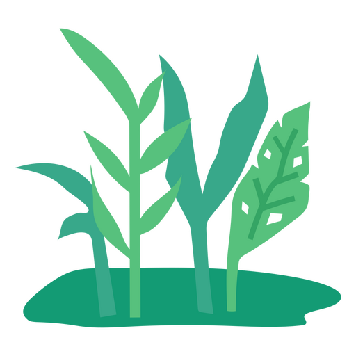 Icono de plantas minimalistas Diseño PNG