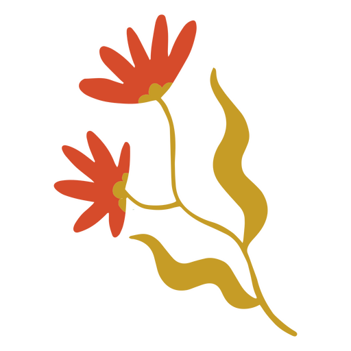 Zwei orangefarbene Blumen PNG-Design