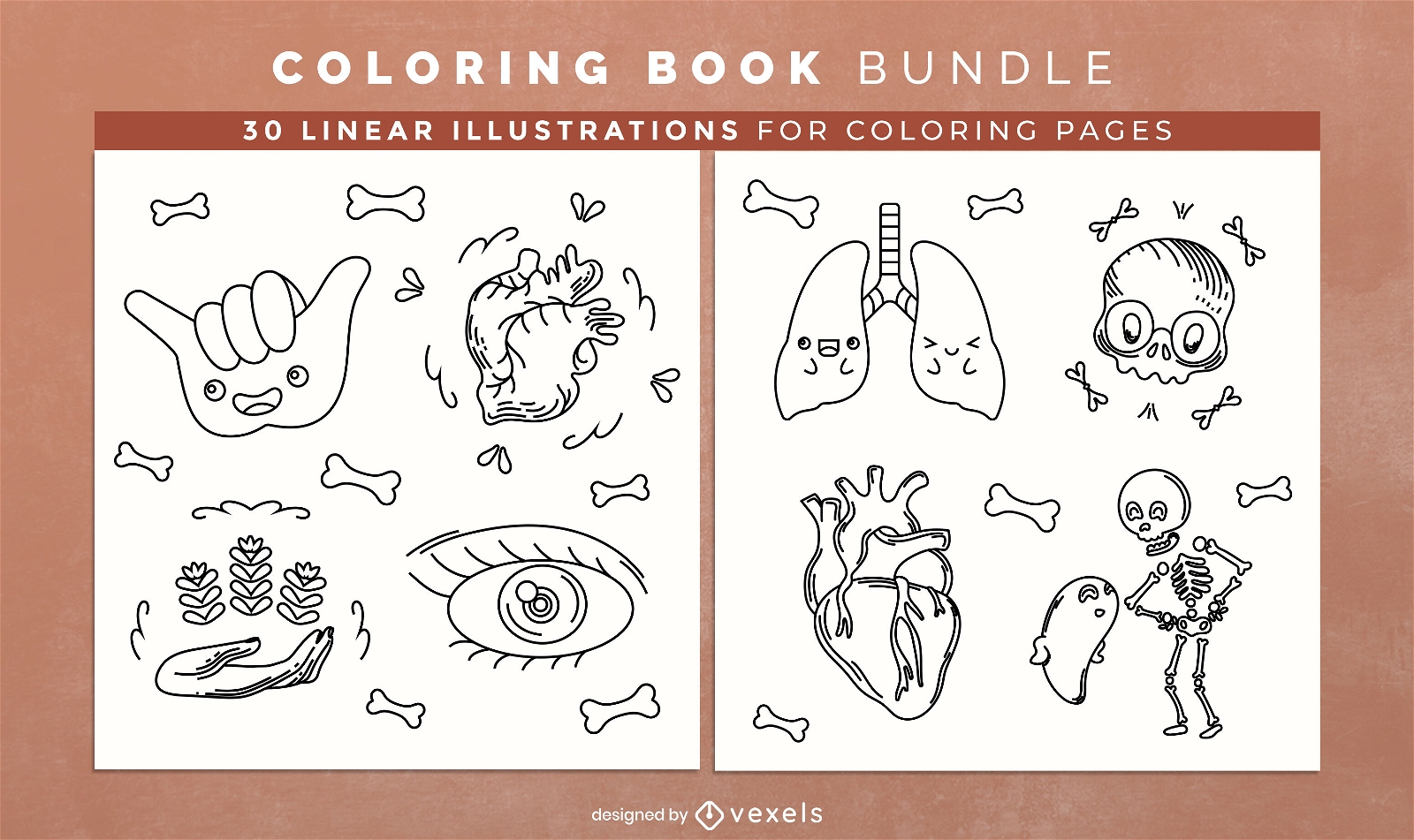 Human anatomy coloring book design