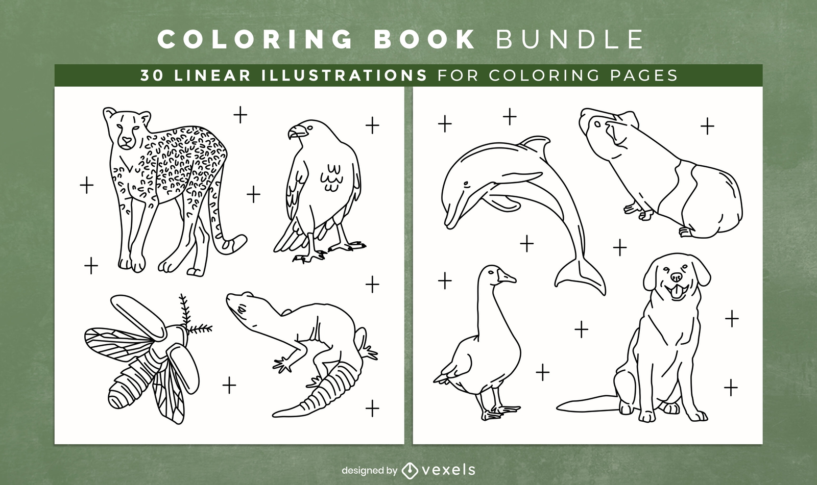 Awesome animals coloring book interior design