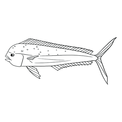 Curso de peixe nadador Desenho PNG