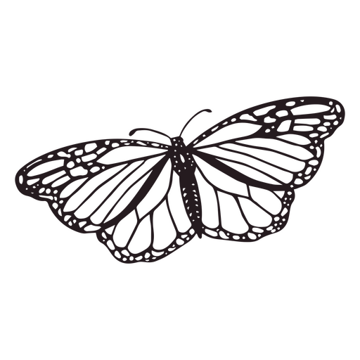 Dia dos mortos linda borboleta monarca cheia de acidente vascular cerebral Desenho PNG