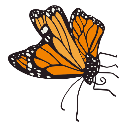 Día de los muertos trazo de color mariposa naranja Diseño PNG