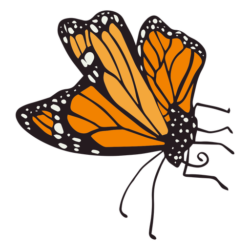 Traço colorido da borboleta laranja do dia da morte
