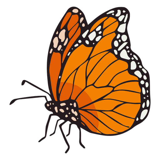 D?a de los muertos trazo de color de la mariposa monarca. Diseño PNG