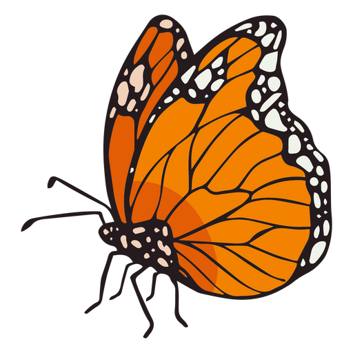 Día de los muertos trazo de color de la mariposa monarca. Diseño PNG