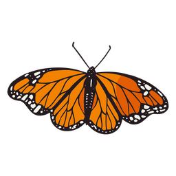 Day of the dead orange monarch butterfly color stroke Transparent PNG