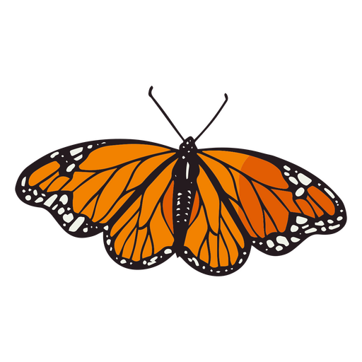 Traço colorido da borboleta monarca laranja do dia da morte