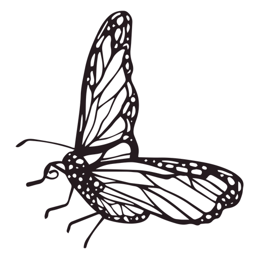 Dia da borboleta monarca morta cheia de acidente vascular cerebral Desenho PNG