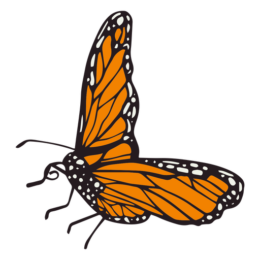 Día de muertos hermoso trazo de color de mariposa Diseño PNG