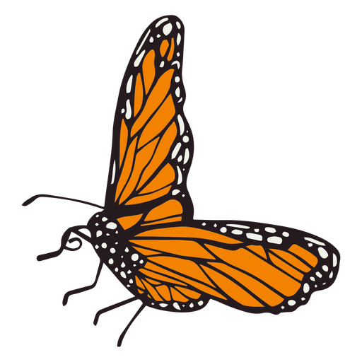 Tag des toten schönen Schmetterlingsfarbstrichs PNG-Design