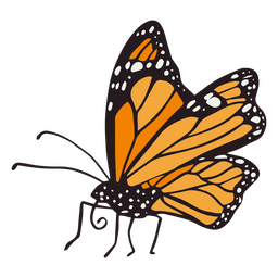 Day of the dead orange butterfly bug flat PNG Design