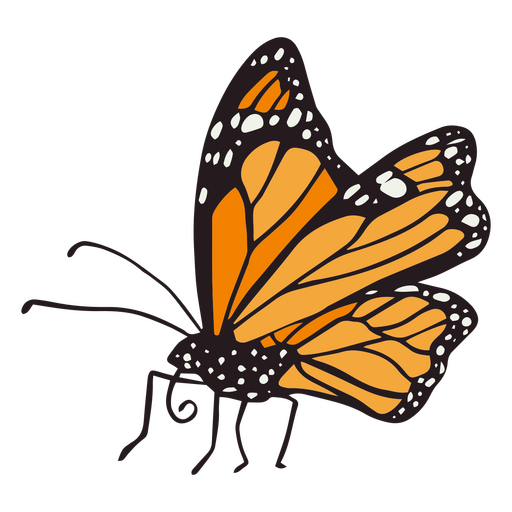 Insecto mariposa naranja del d?a de los muertos plano Diseño PNG