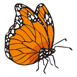 Dia de los muertos traçado de cor de borboleta monarca laranja Transparent PNG