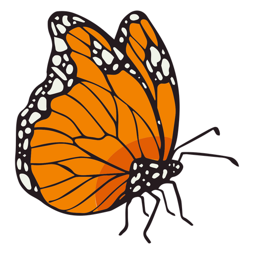 Trazo de color de mariposa monarca naranja dia de los muertos Diseño PNG