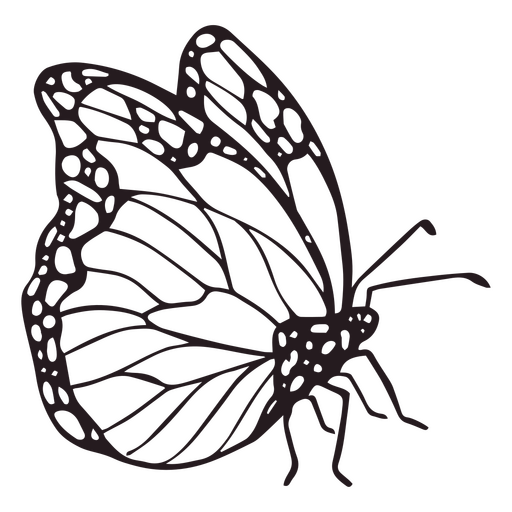 Dia de los muertos butterfly filled stroke PNG Design
