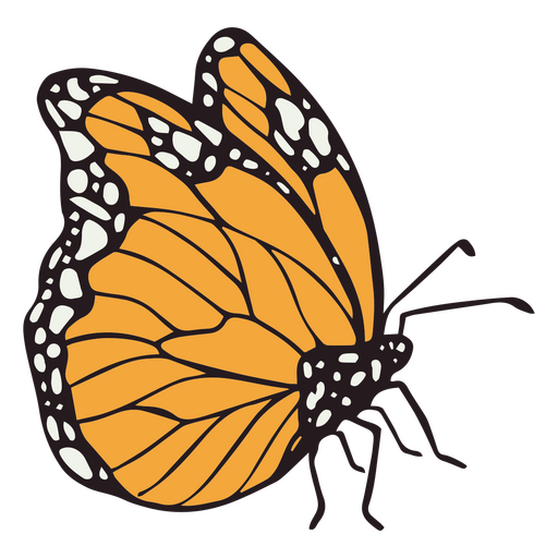Dia de los muertos orange butterfly color stroke PNG Design