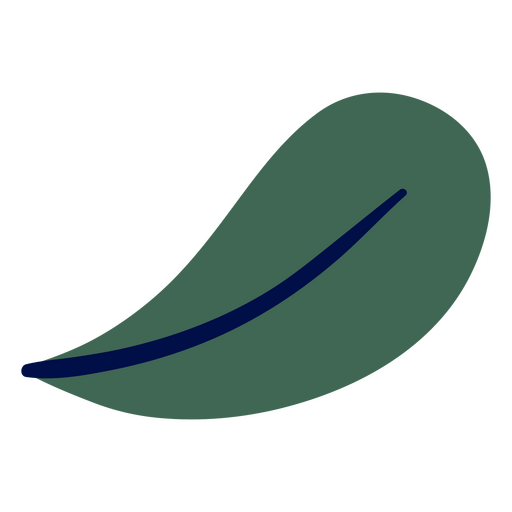 Single leaf flat PNG Design