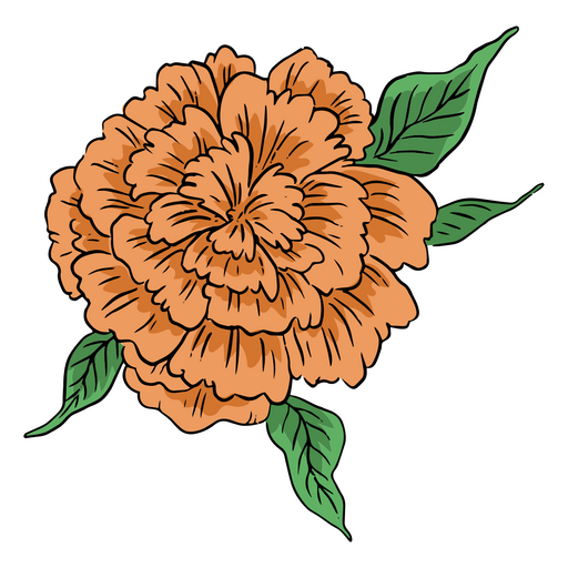 Day of the dead orange carnation illustration PNG Design