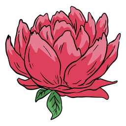 Dia da ilustração de flor rosa morta
