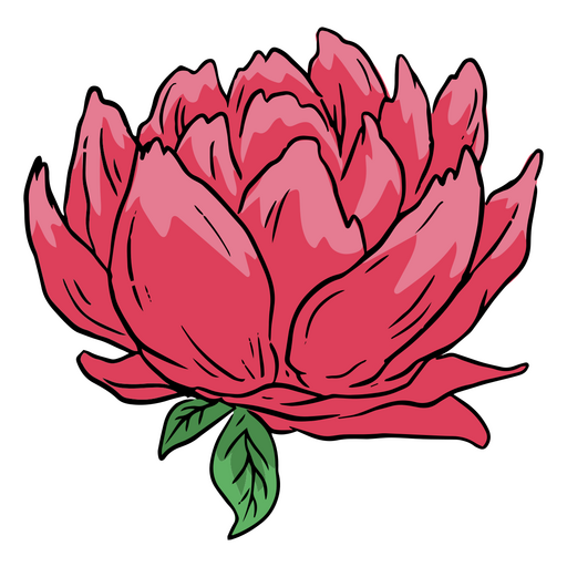 Ilustraci?n de flor rosa del d?a de los muertos Diseño PNG