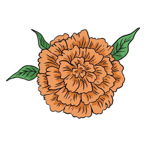 Day of the dead carnation illustration