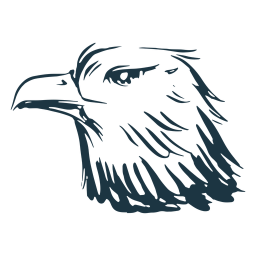 Elemento dibujado a mano cabeza de águila americana Diseño PNG