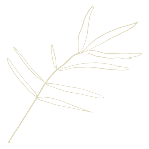 Dünner Pflanzenstielstrich PNG-Design