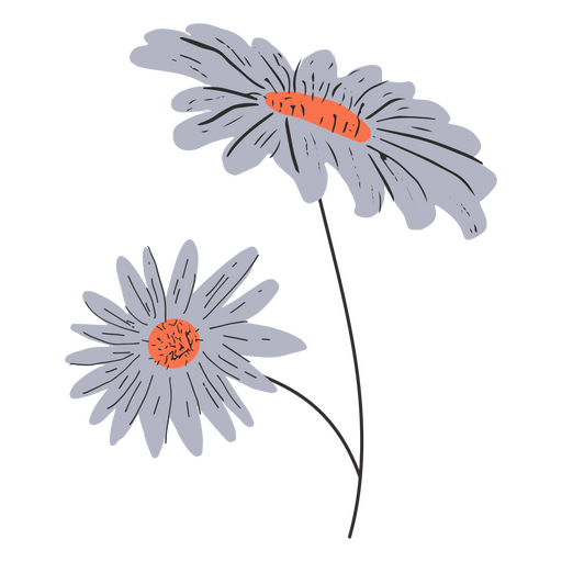 Graue Gänseblümchen halb flach PNG-Design
