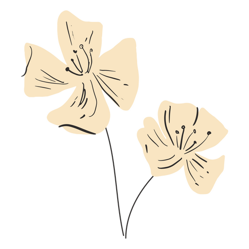 Diseño de flores rosas semi planas. Diseño PNG