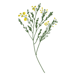 Farbstrich der kleinen gelben wilden Blumen PNG-Design