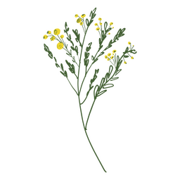 Little yellow wild flowers color stroke PNG Design