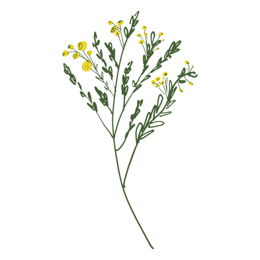 Little yellow wild flowers color stroke PNG Design