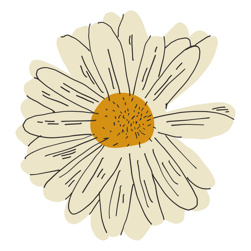 Weiße Gänseblümchenblume halb flach PNG-Design