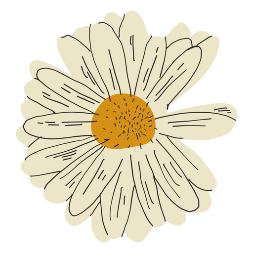 White daisy flower semi flat PNG Design