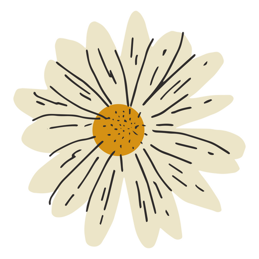 Única flor branca semi plana Desenho PNG