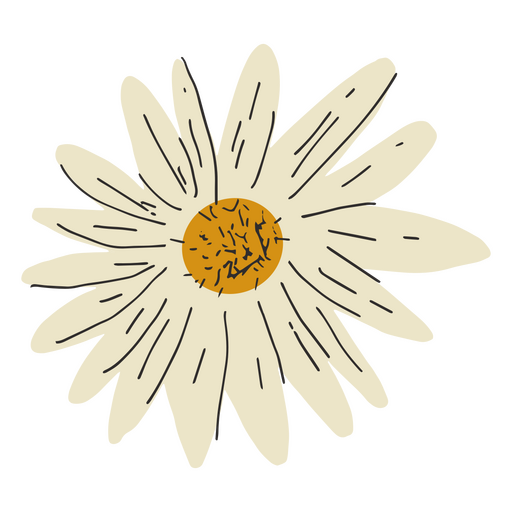 Diseño de flores blancas semi planas. Diseño PNG