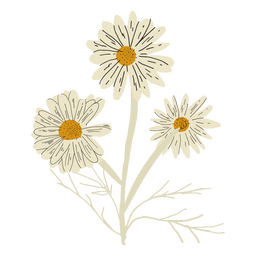 Flores selvagens bonitas brancas Desenho PNG