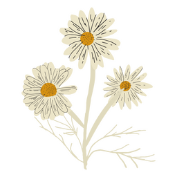 Lindas flores silvestres blancas Diseño PNG