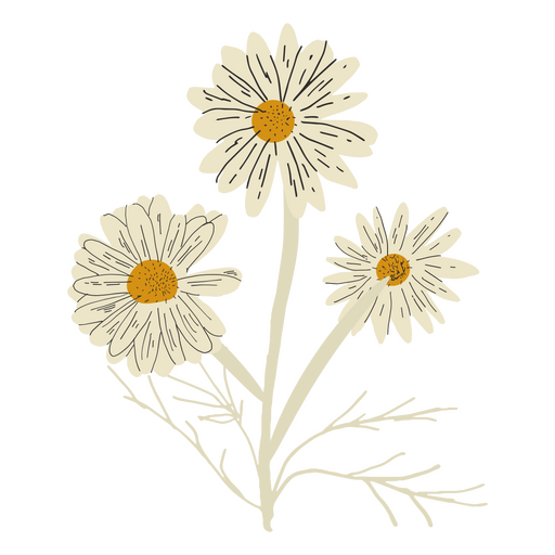 Weiße süße wilde Blumen PNG-Design