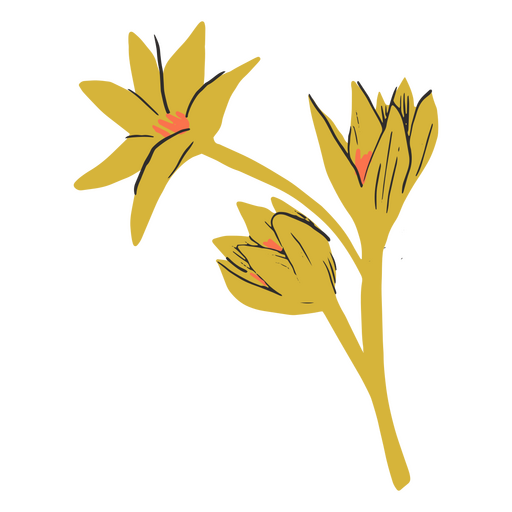 Diseños PNG de flores silvestres para camisetas & Merch