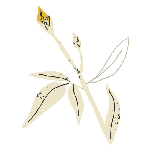 Kleine gelbe und weiße Blüten halbflach PNG-Design
