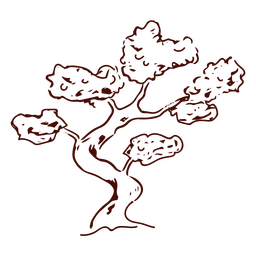 Árvore bonsai esboçada Desenho PNG