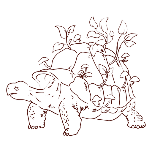Tartaruga com cogumelos em seu curso de concha Desenho PNG