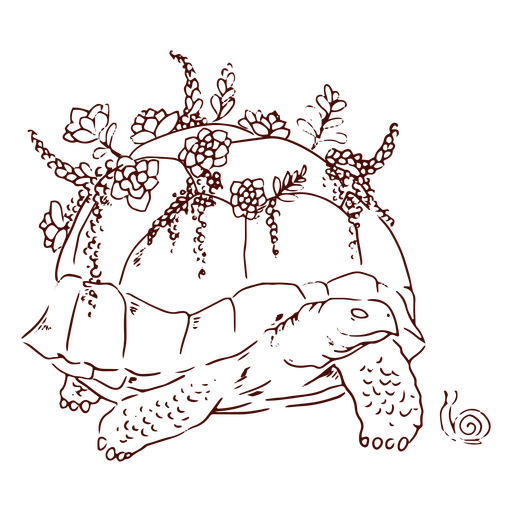 Turtle with plants stroke PNG Design