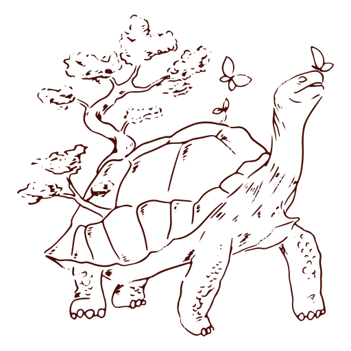 Curso de tartaruga e borboletas Desenho PNG
