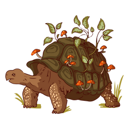 Schildkröte und Naturillustration PNG-Design