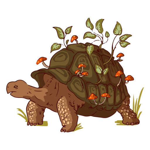 Ilustración de tortuga y naturaleza Diseño PNG