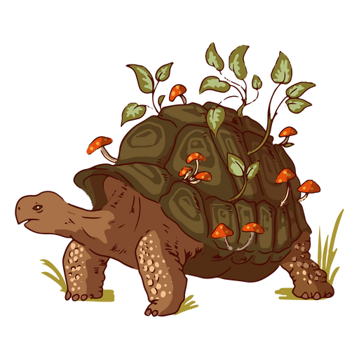 Ilustraci?n de tortuga y naturaleza Diseño PNG